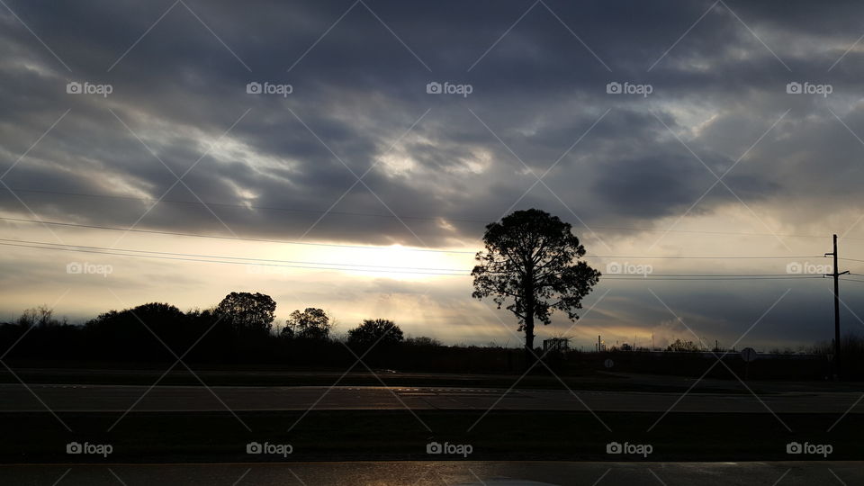 Silhouette of trees against storm cloud