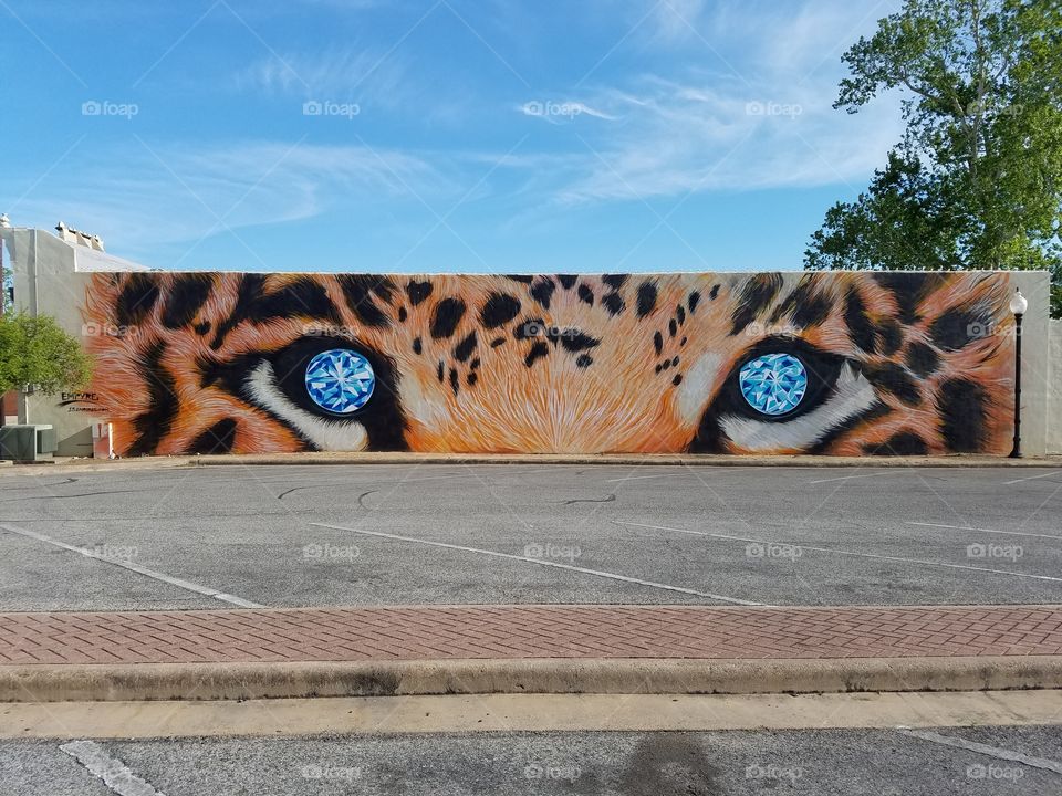 Cat eye mural