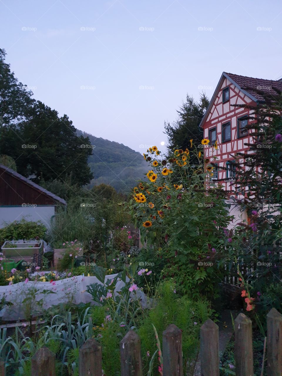 mooning's say goodbye