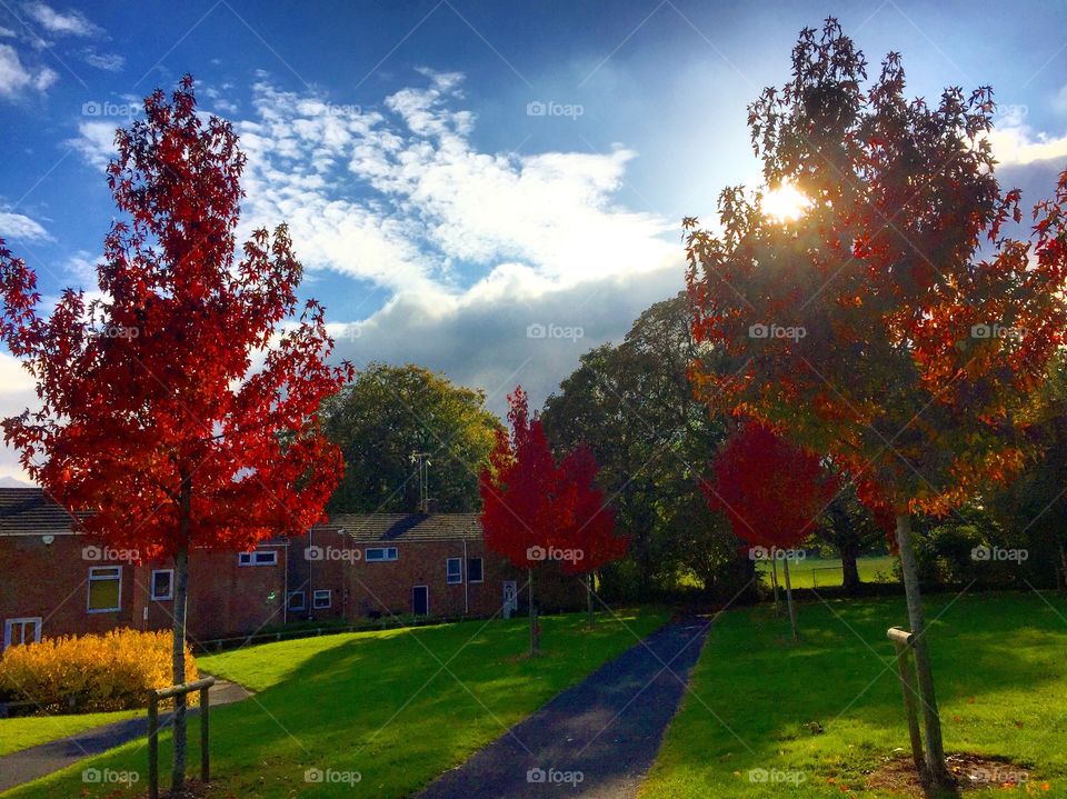 Autumn in United Kingdom 