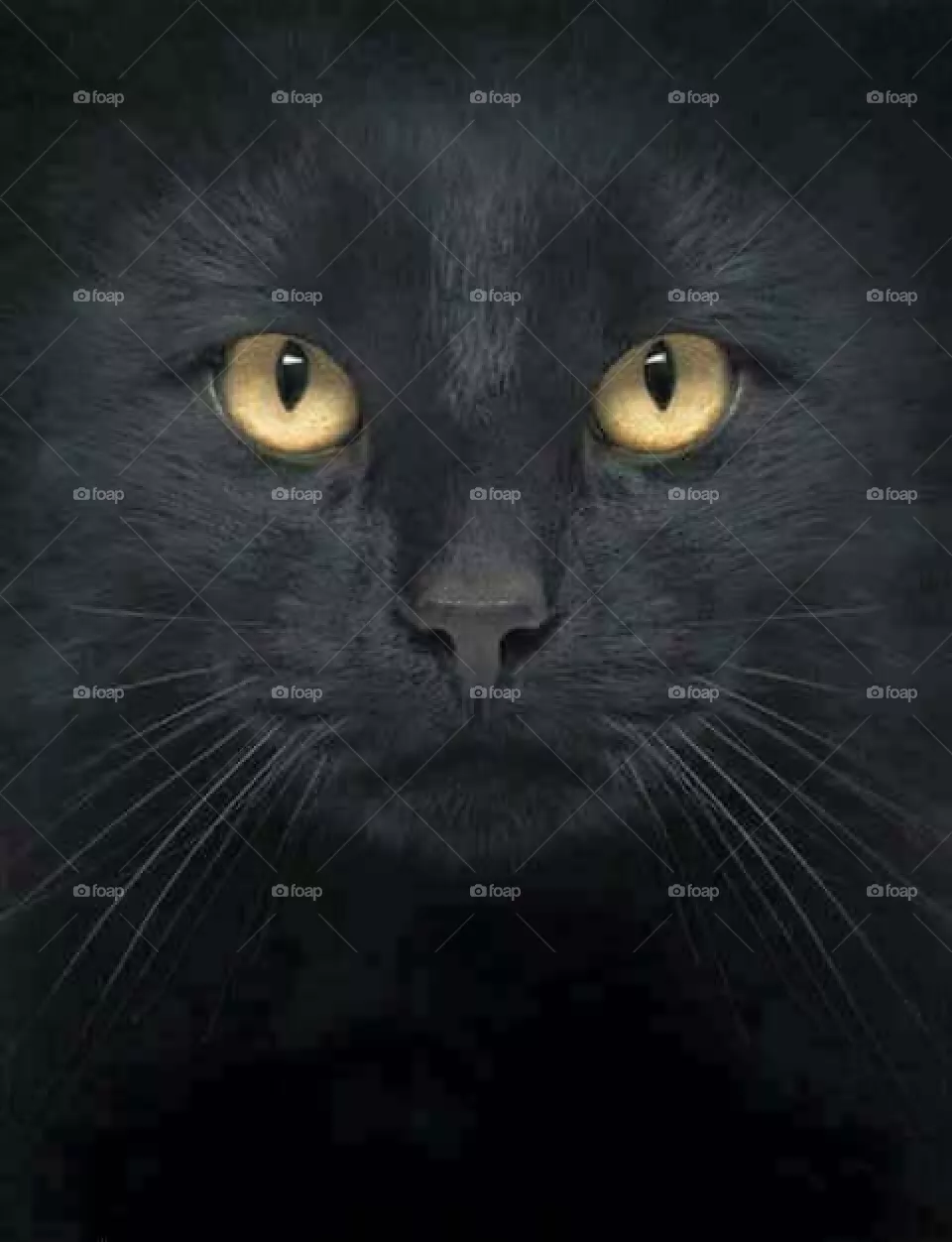 black cat eye natural