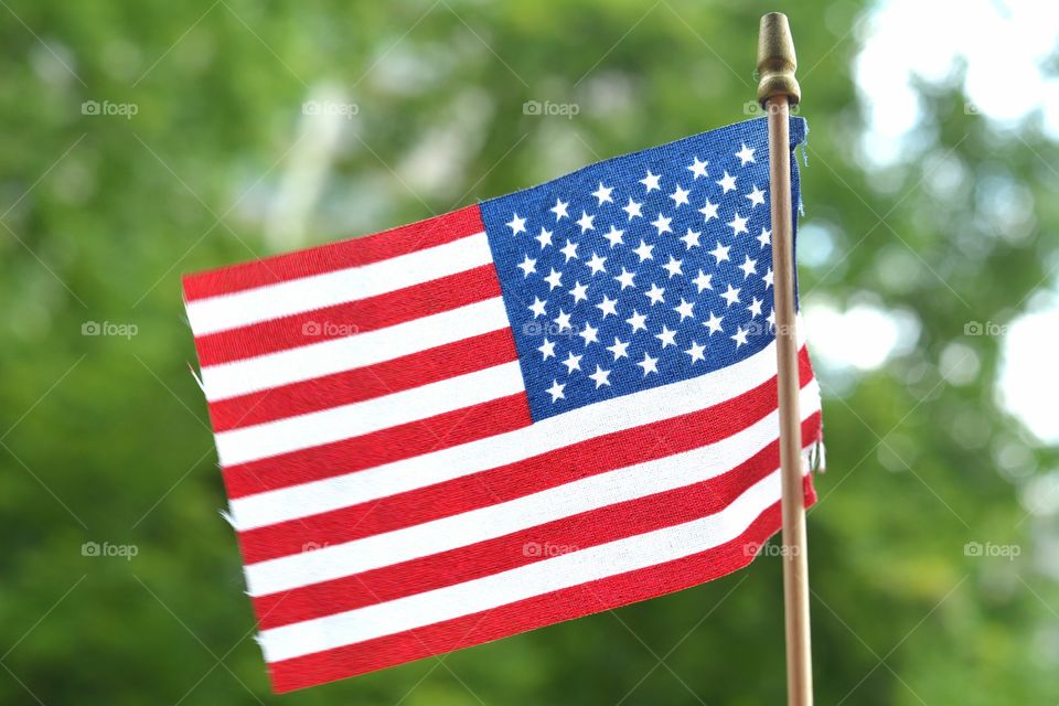 Flag, Patriotism, Administration, United, Election