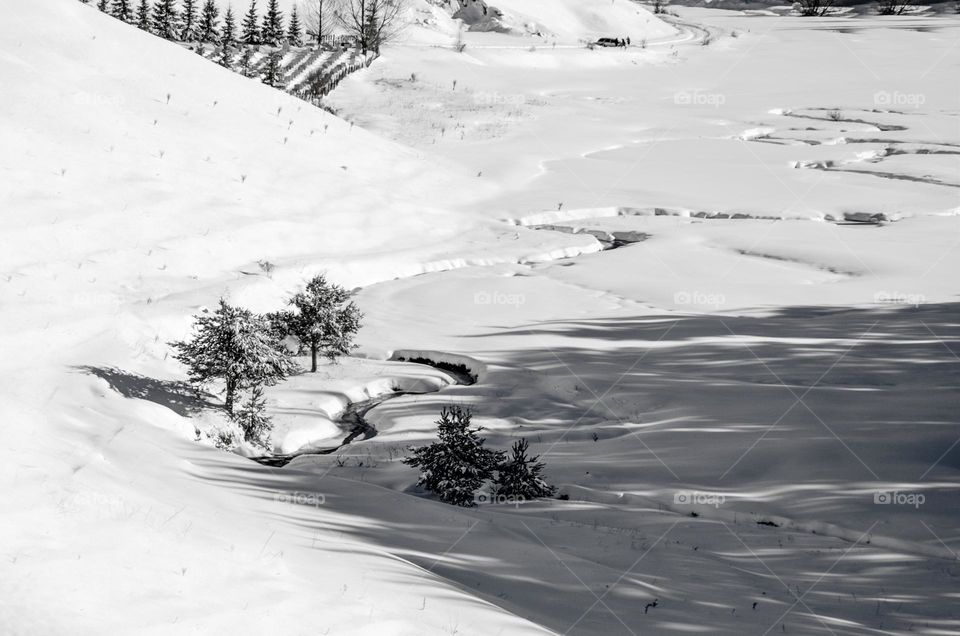 Winter Landscape, Black and White Photography