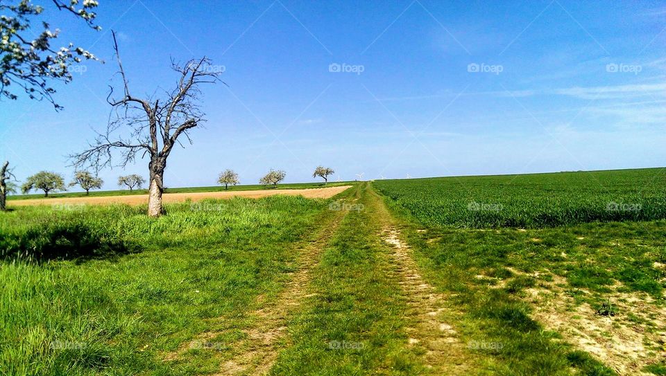 Nieder Eschbach ,Germany