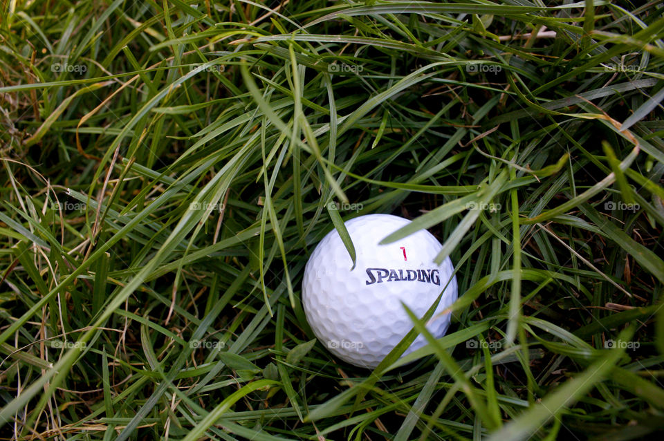 A golf ball on the grass 1