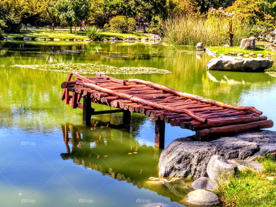 Bridge at Japanese garden in Buenos Aires