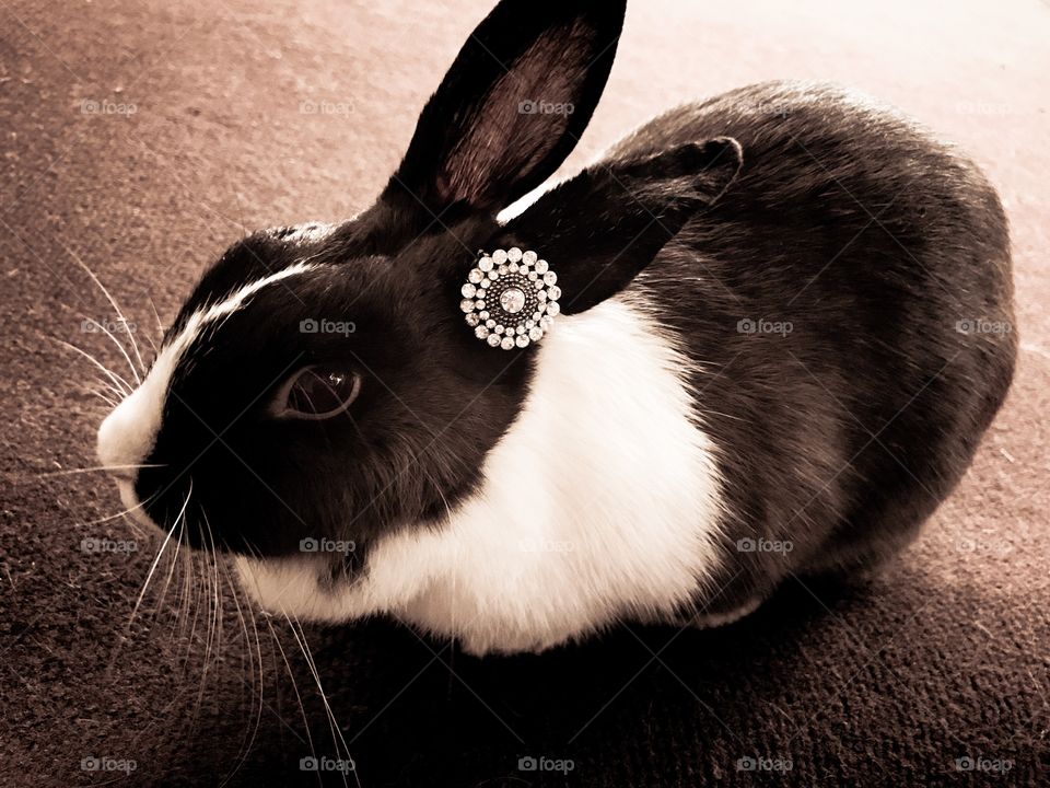 Vintage bunny rabbit bling 