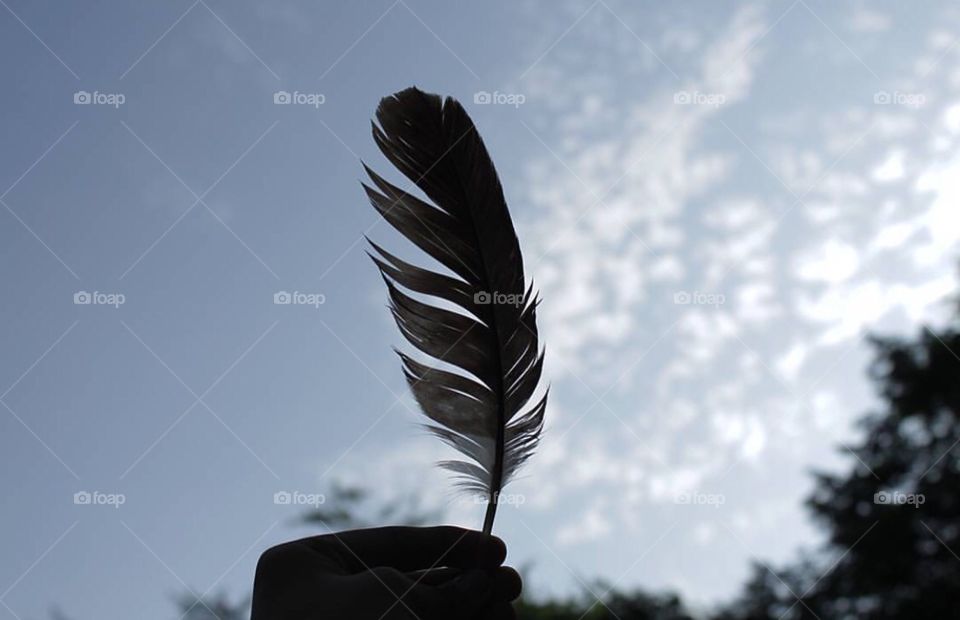 Feather 