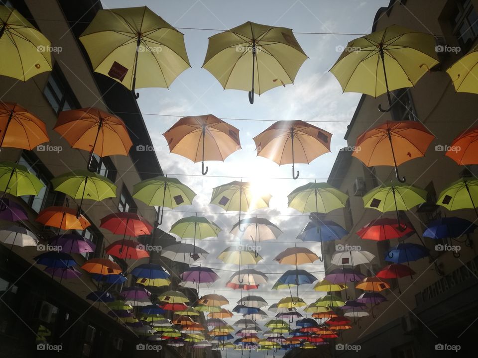 sunny umbrellas