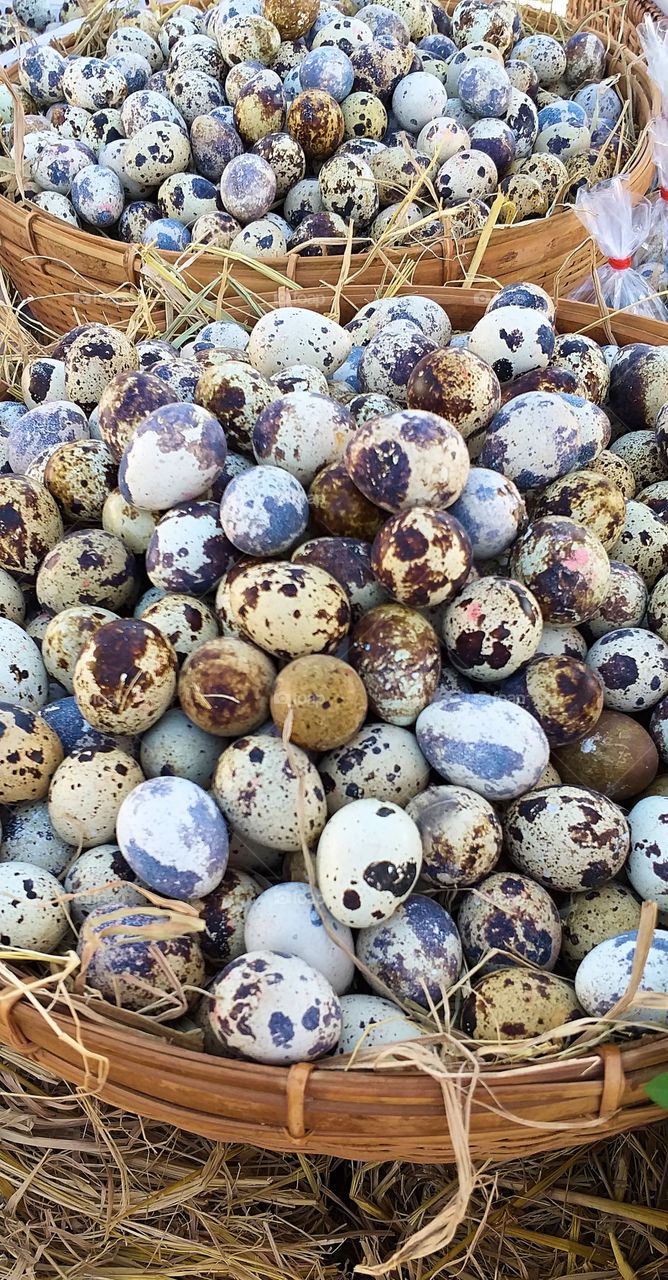 quail eggs.