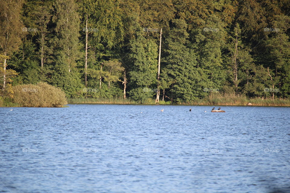 View from barbecue place..