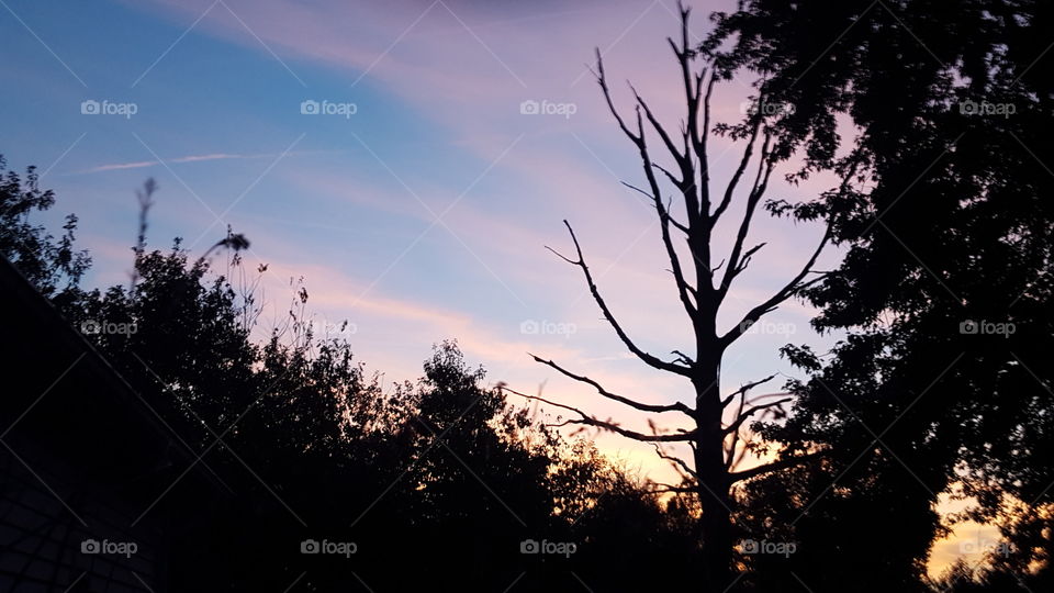 light in the morning