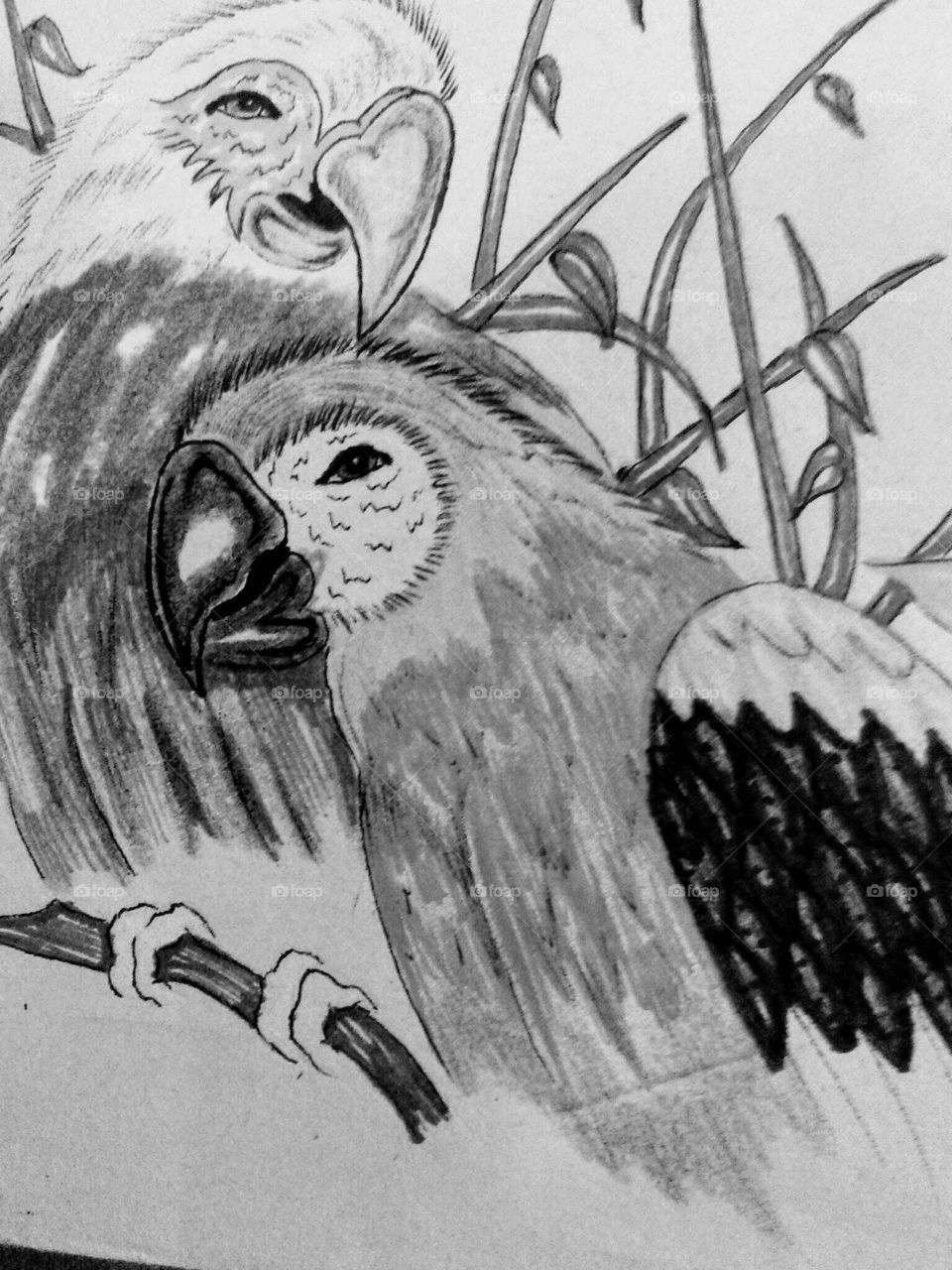 My Sketch: Birds