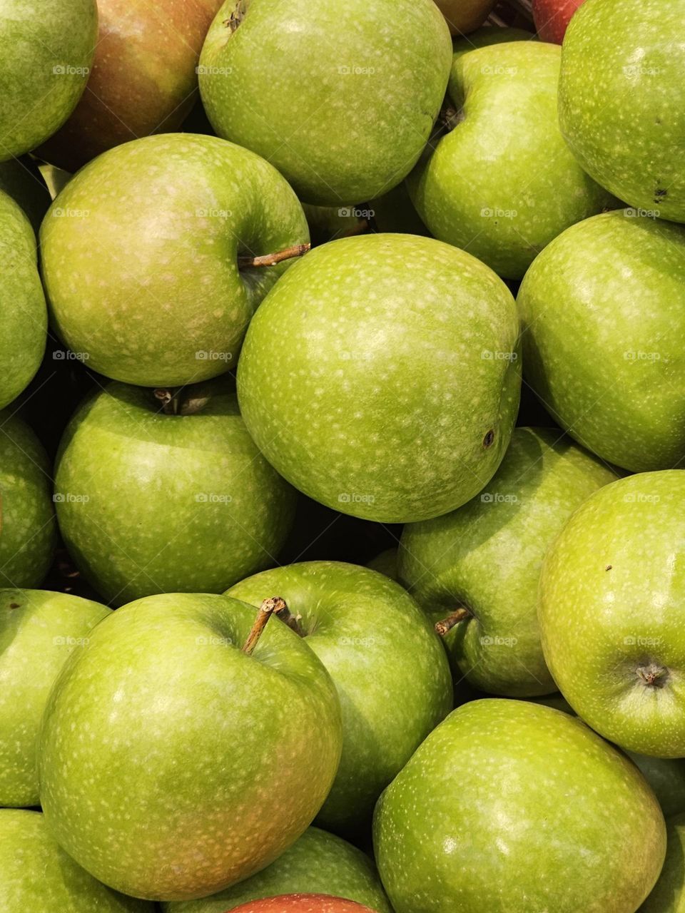 Atumnn Fruits - Green Apples