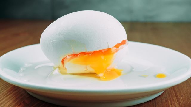 Egg