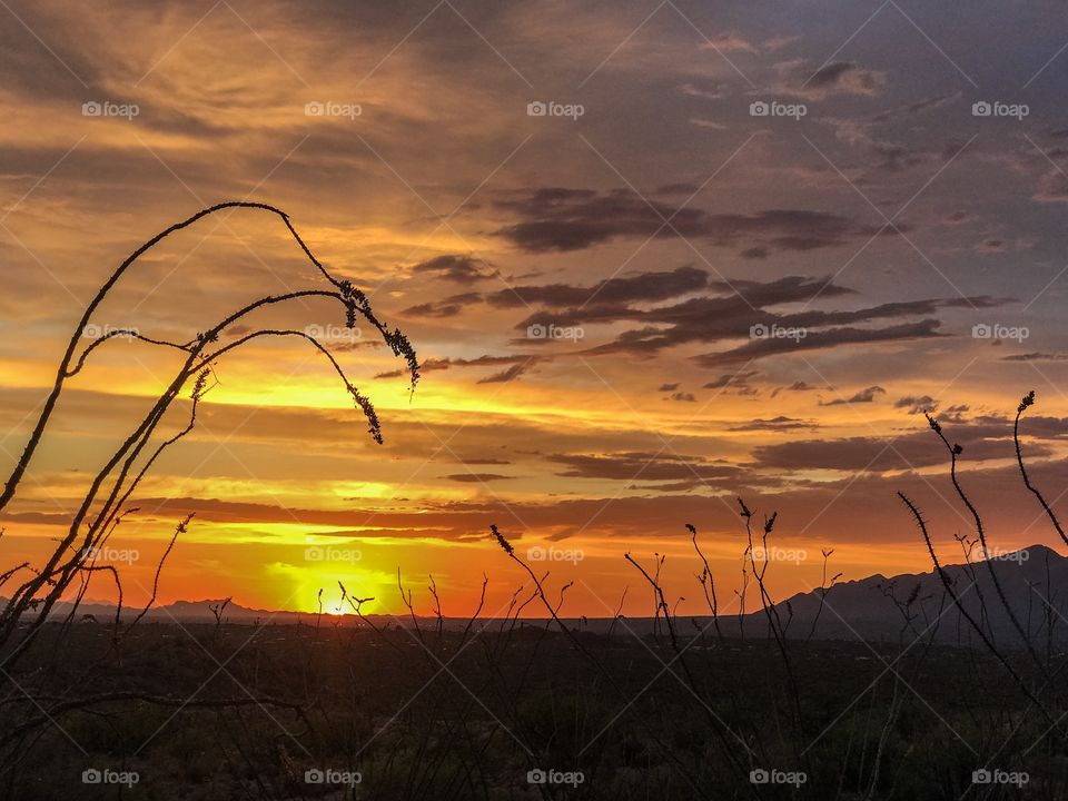 Desert Landscape - Sunset 