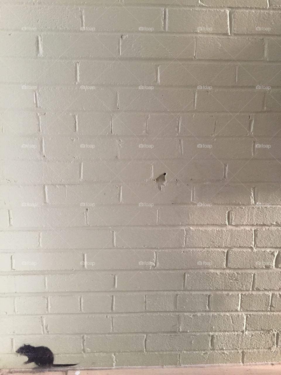 Wall, Brick, Cement, Concrete, Texture