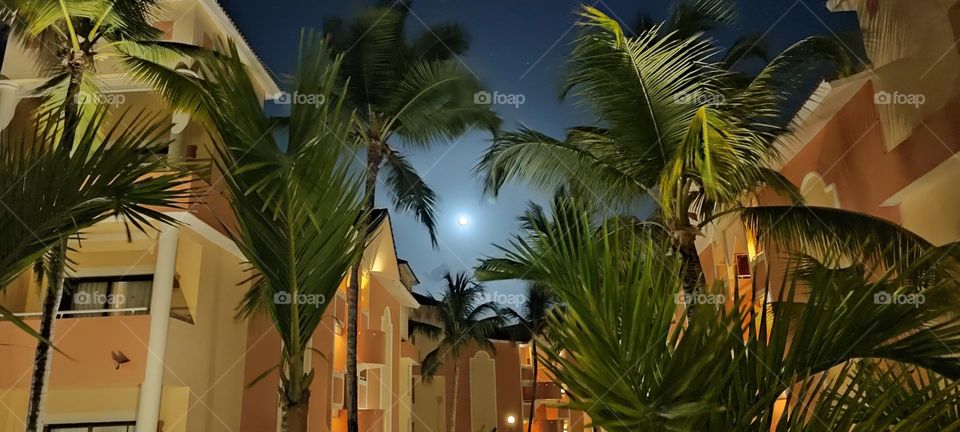 bahía Príncipe, paraíso en punta cana❤️🌱