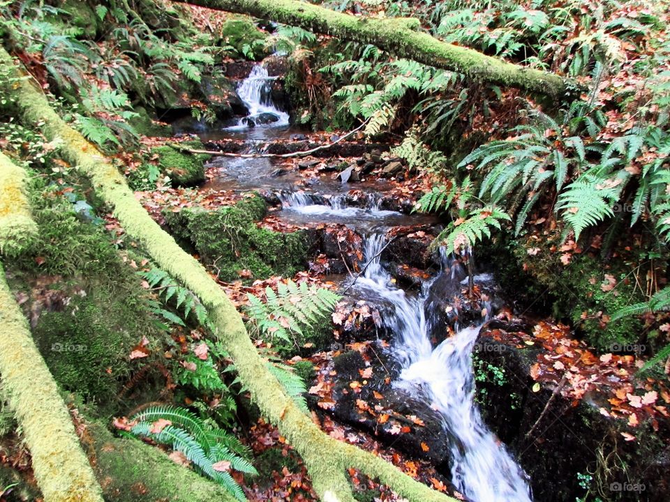 View of water flowing through rocks