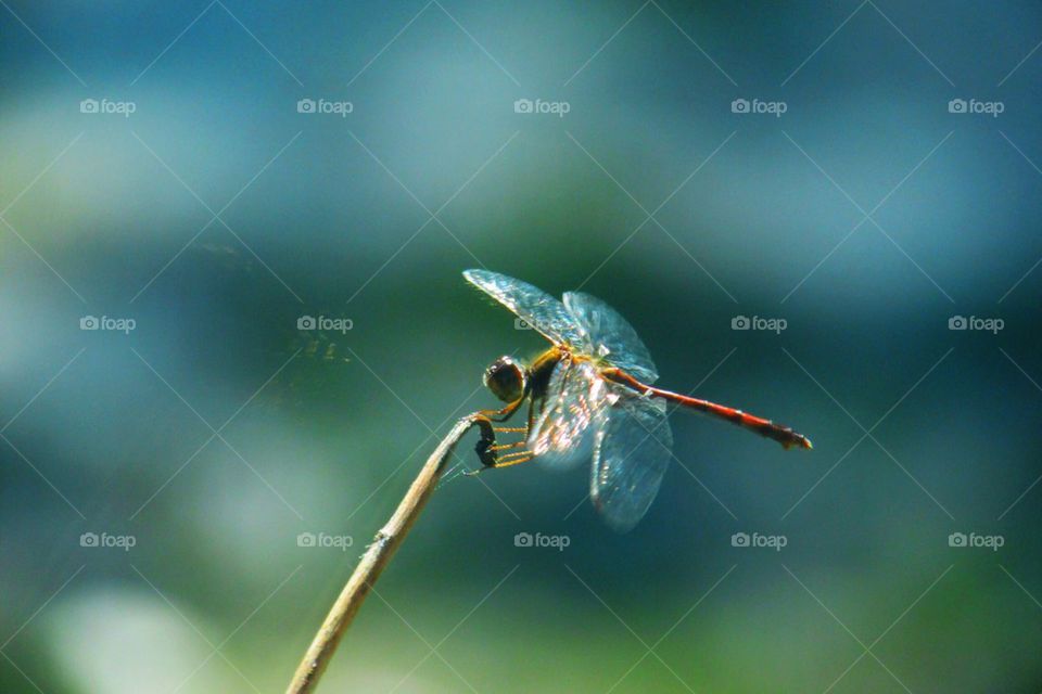 It's the Small Things