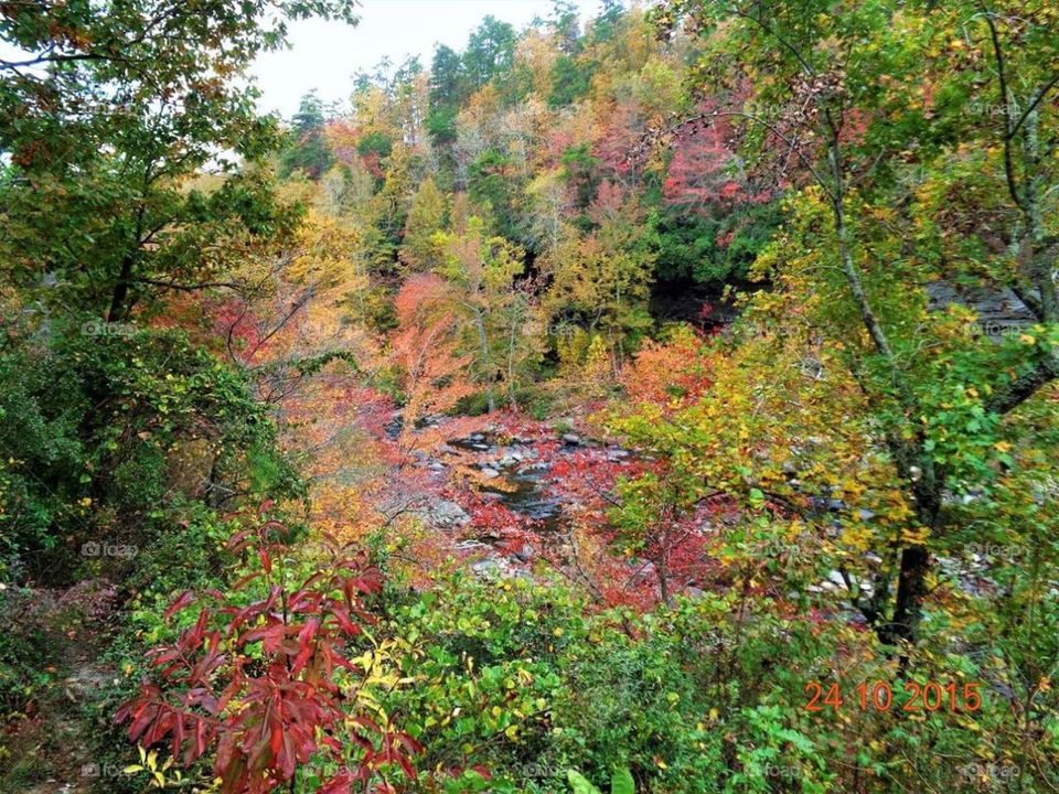 beautiful scenery in the fall in Little River Canyon National Park in Alabama United States.