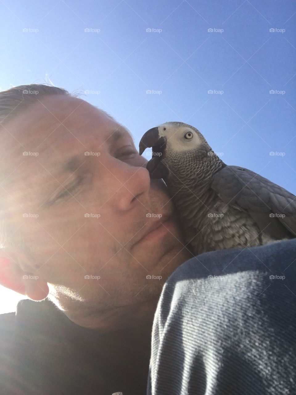 Parrot kiss
