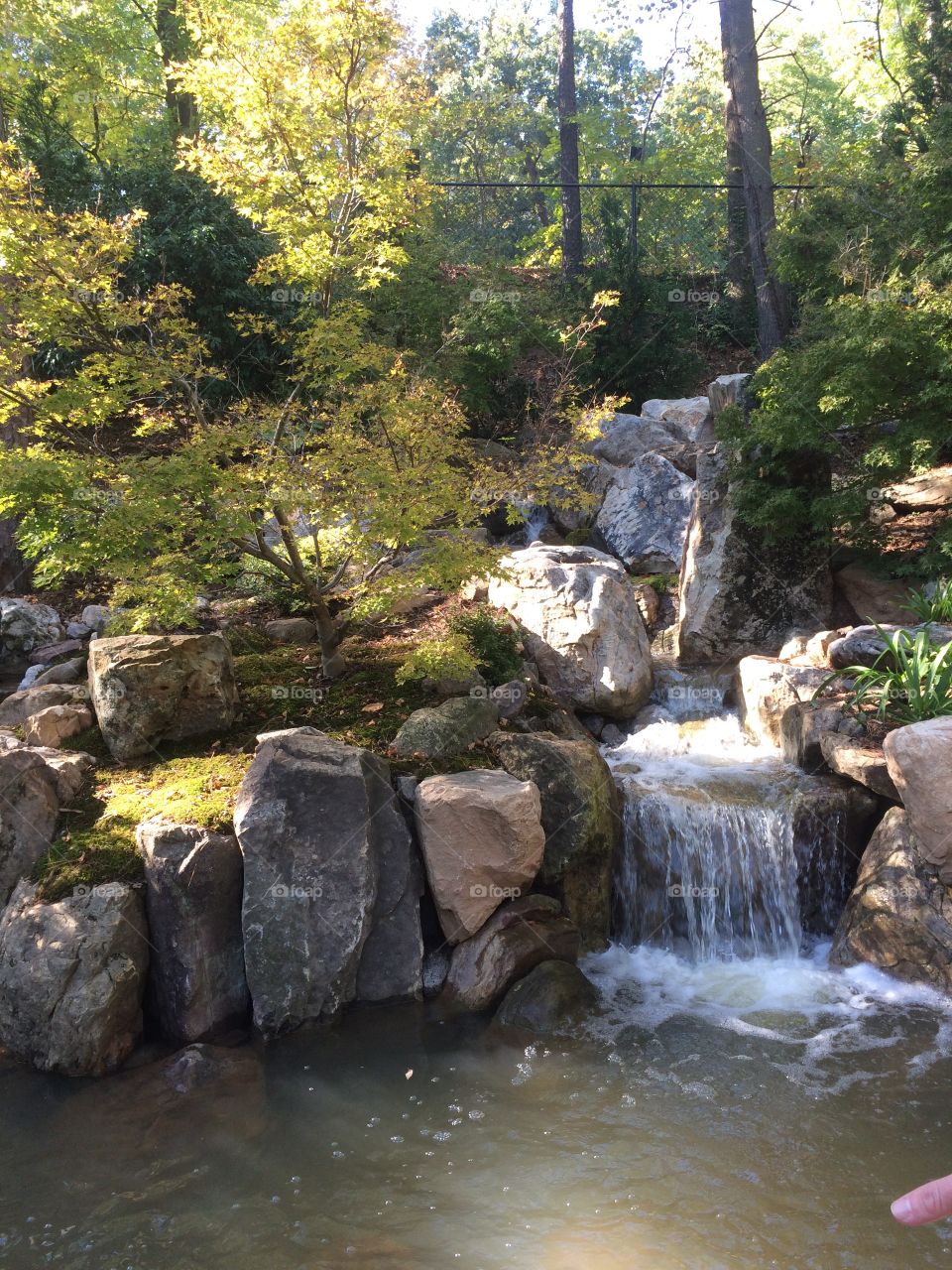 waterfall in Asian garden. Small waterfall in Asian Garden at Sarah P. Duke gardens 