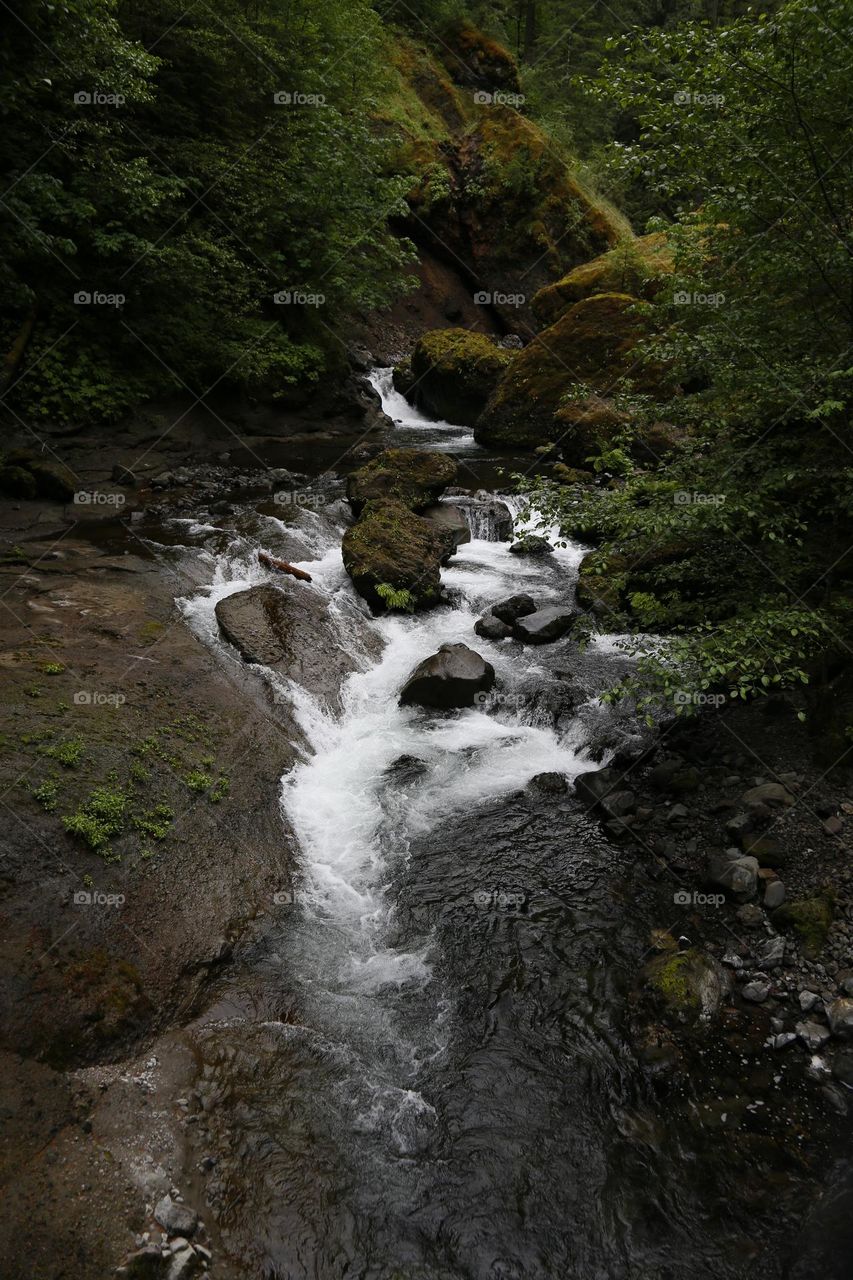 stream, river, water