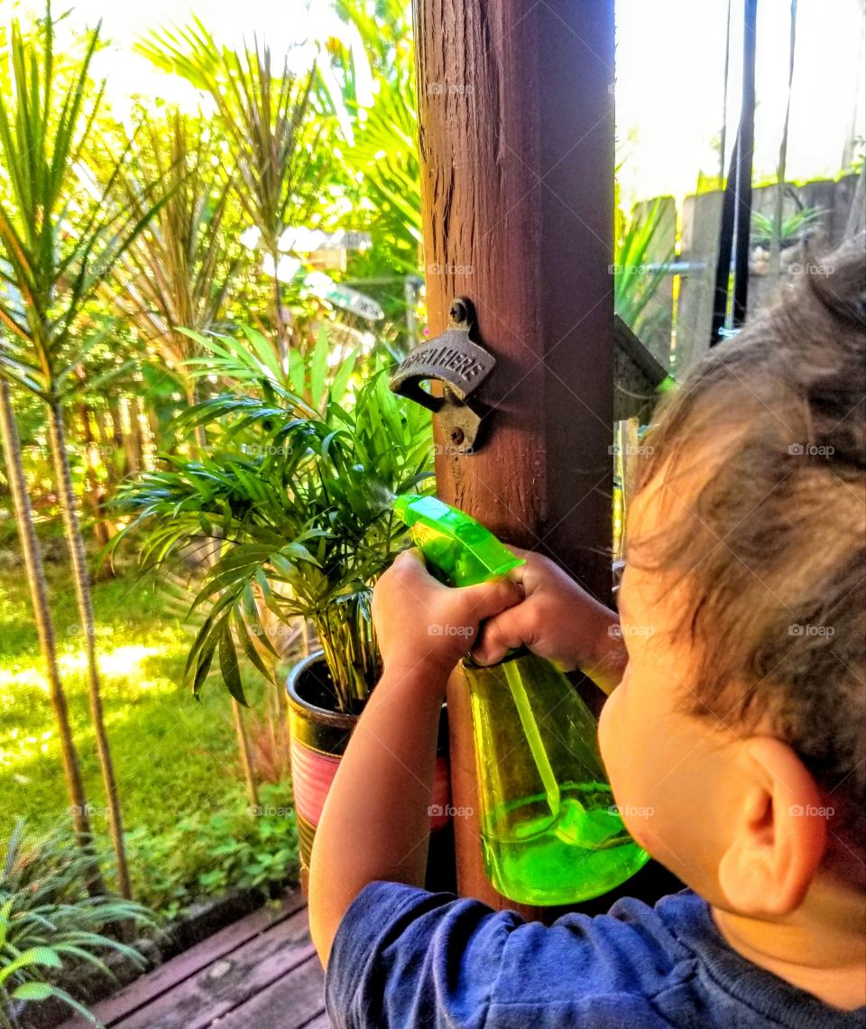 Watering the plants