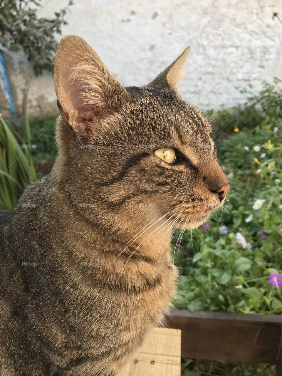 Sometimes, we just have to relax and enjoy our free time recharging our batteries in the beautiful nature of plants and animals.