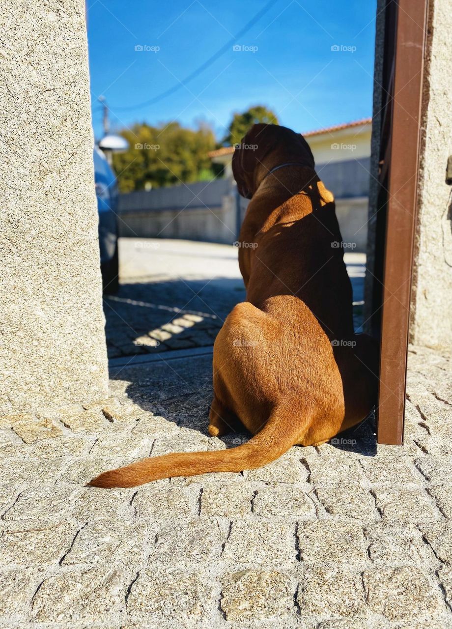 My favorite spot at home