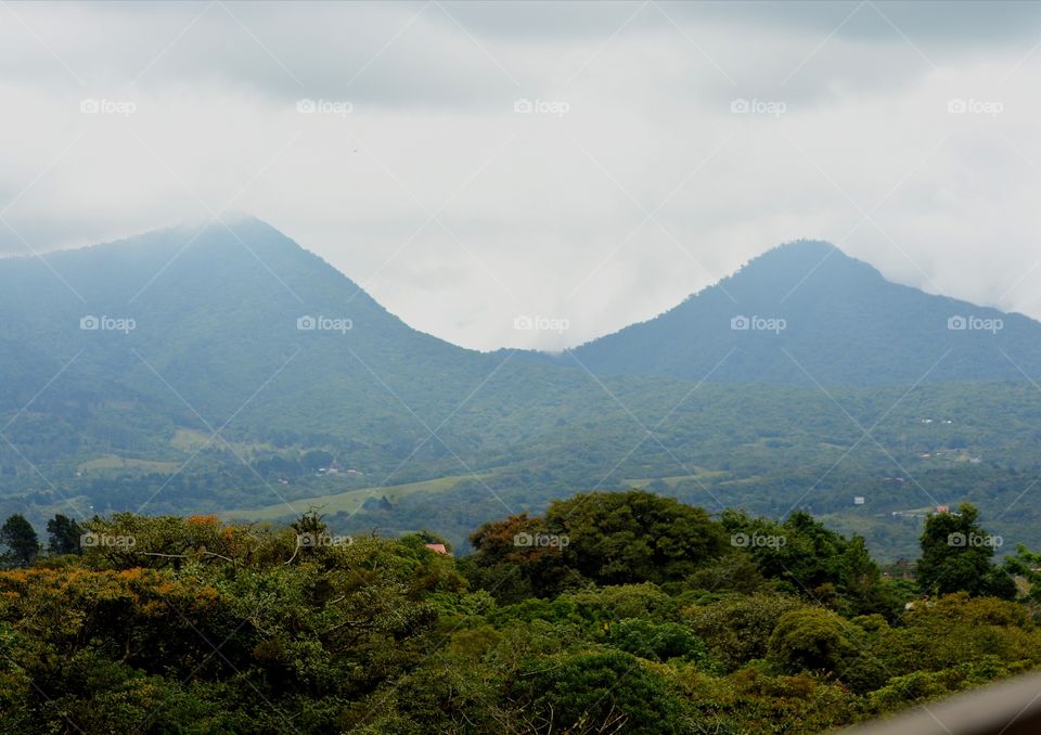 A mountainous forest. A good place to relax