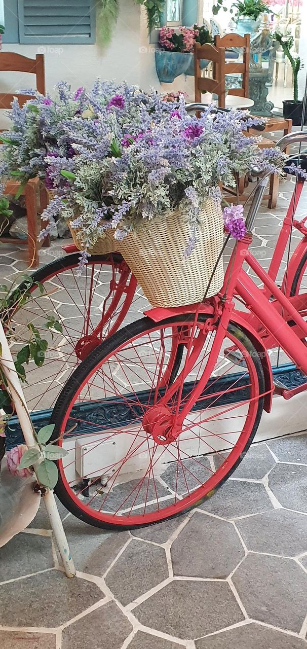 Red bicycle 🚲 with flowers 💐 basket 🧺