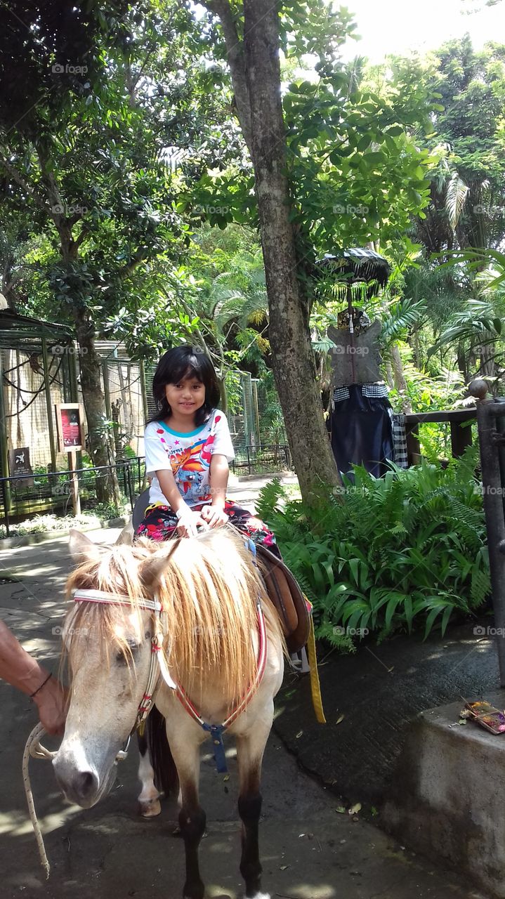 riding horse