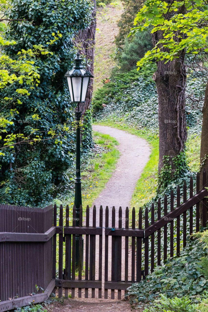 Park entrence and footpath in prague