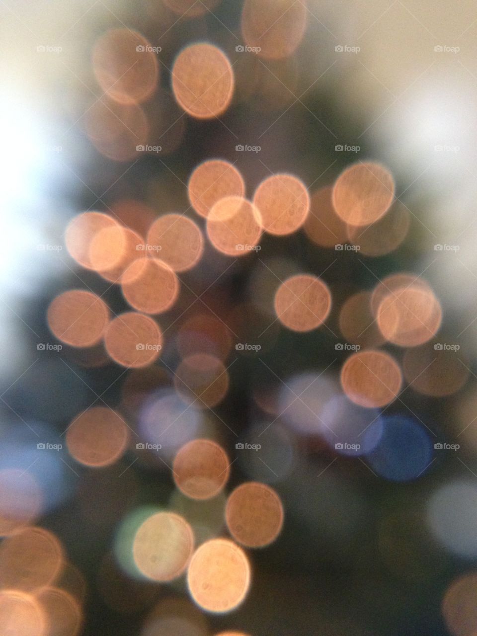 blurred our illuminated lit christmas  tree