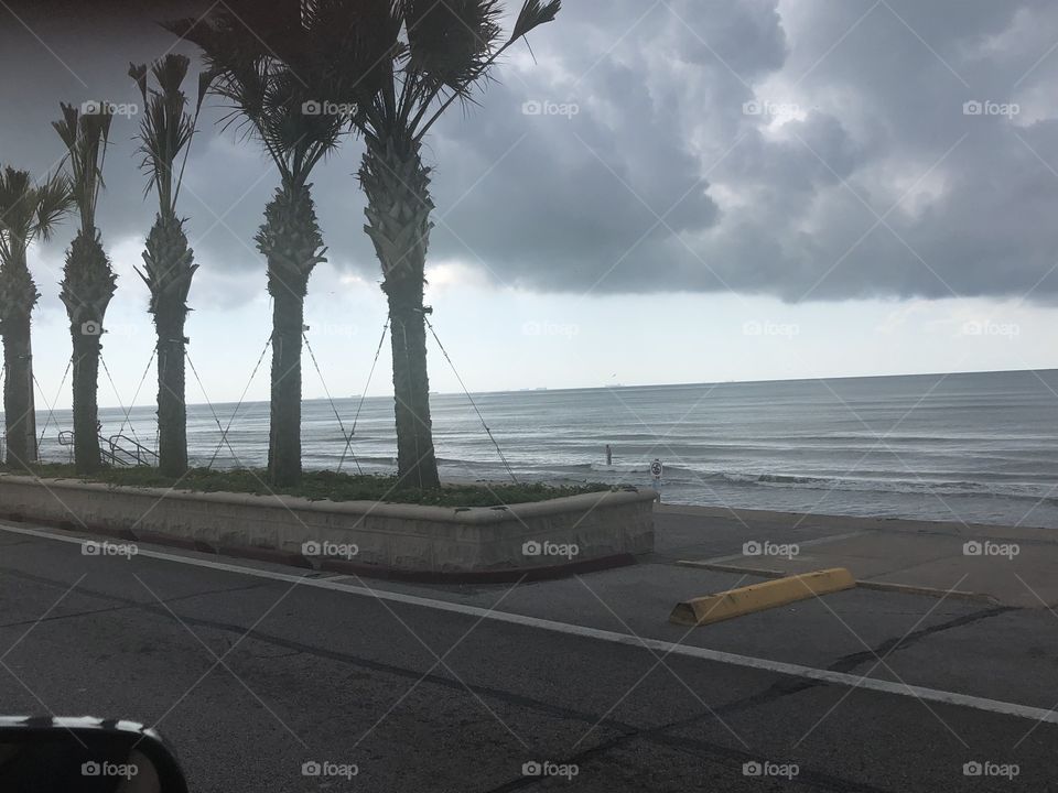 Palm trees on Galveston Beach with rain cloud 