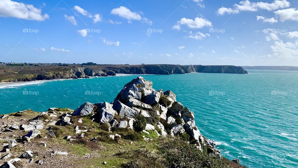 Editor’s Choice: Photo of the Week 