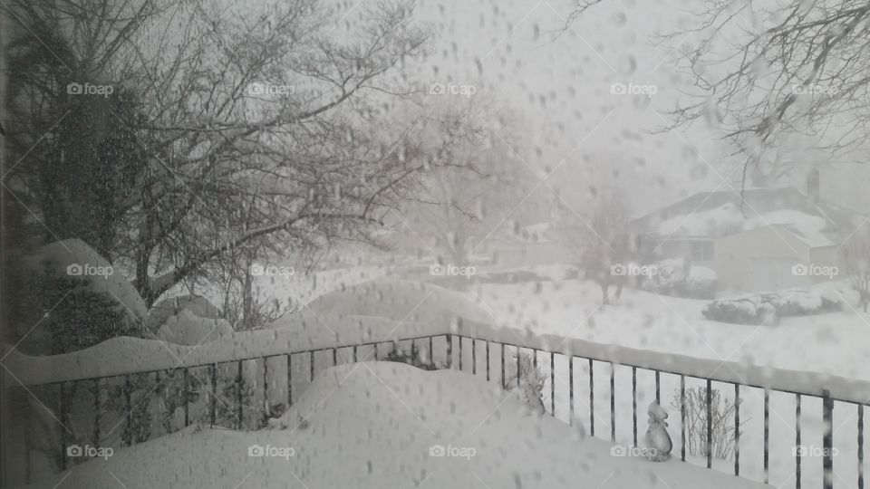 Winter, Snow, Frost, Cold, Frozen