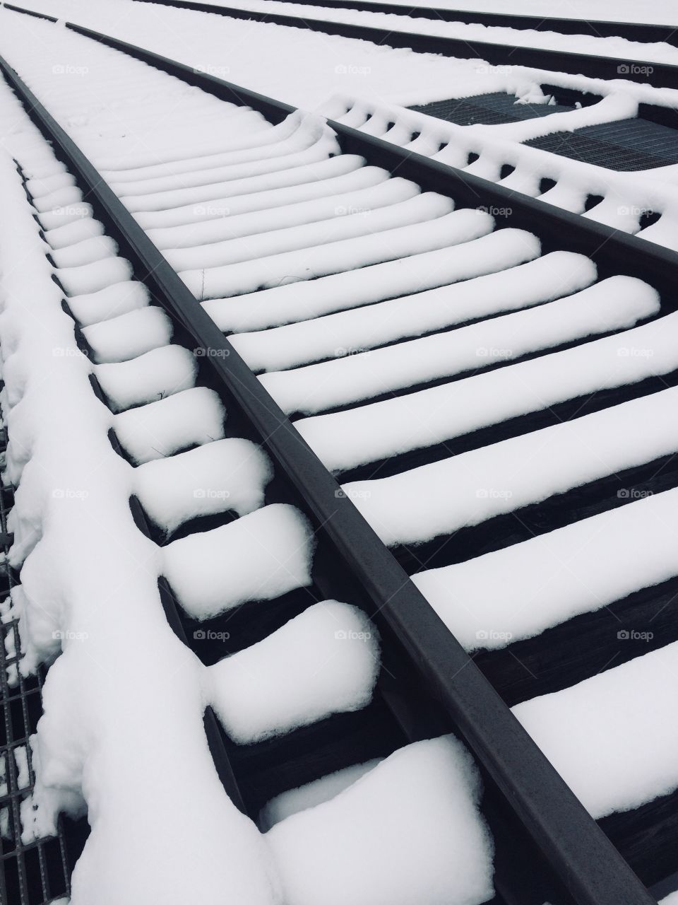 Tracks in the snow 