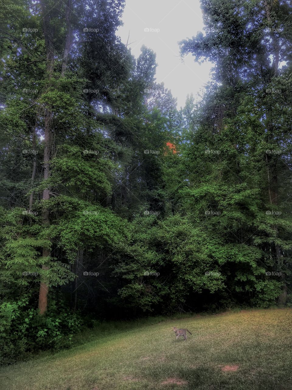 Benjamin Linus’s Last Photo 😢