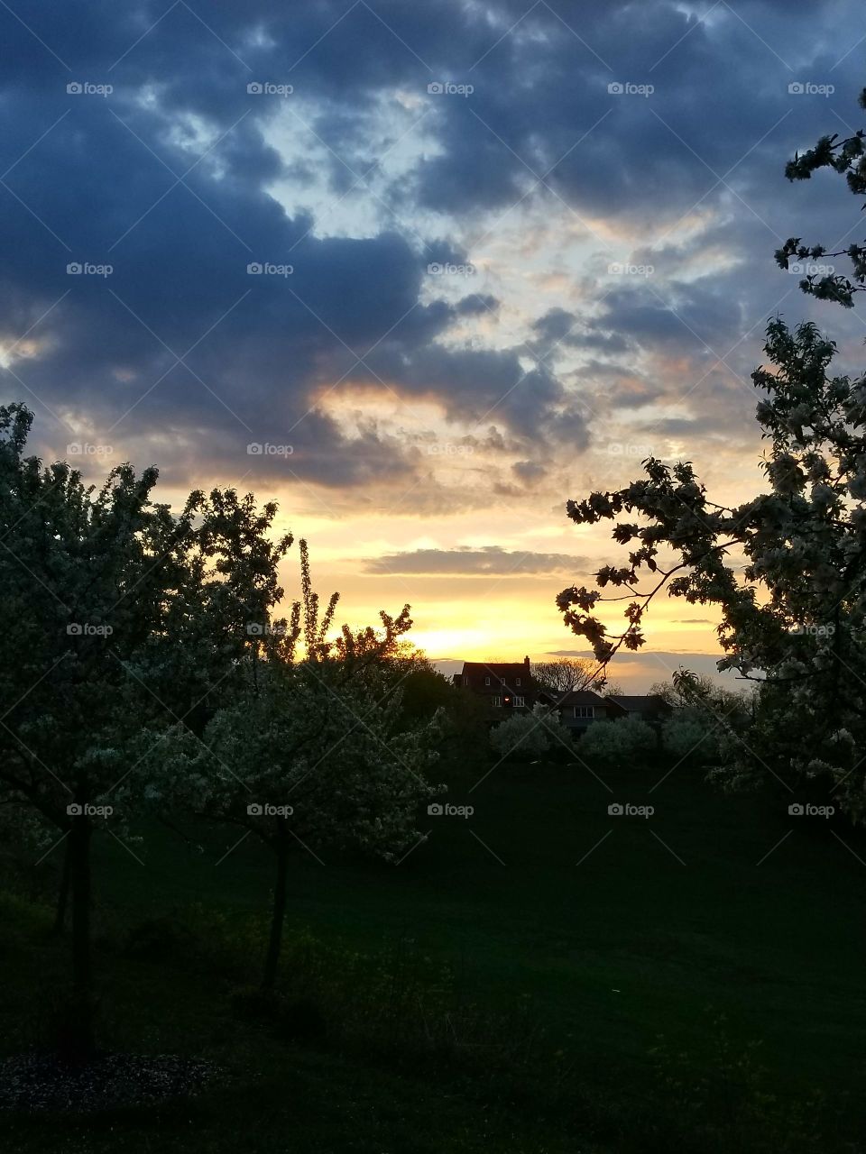 Spring sunset 2