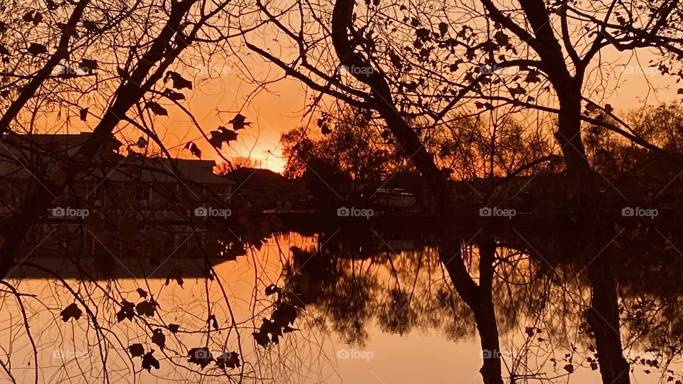 Reflections of shoreline fall leftover foliage trees backlit shoreline casting colours. 