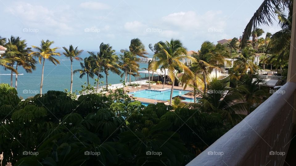 Beach, Resort, Palm, Tropical, Hotel