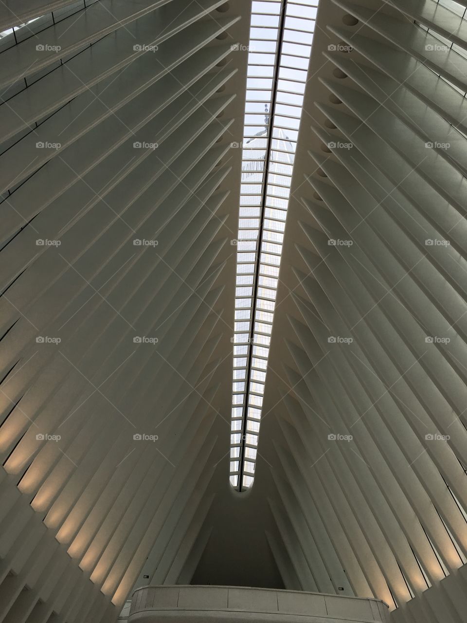 The Oculus in New York City
