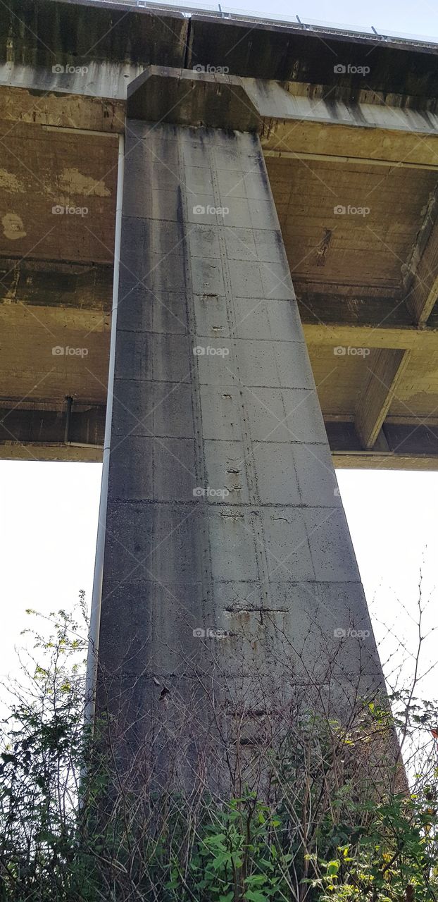 Column of ring road bridge
