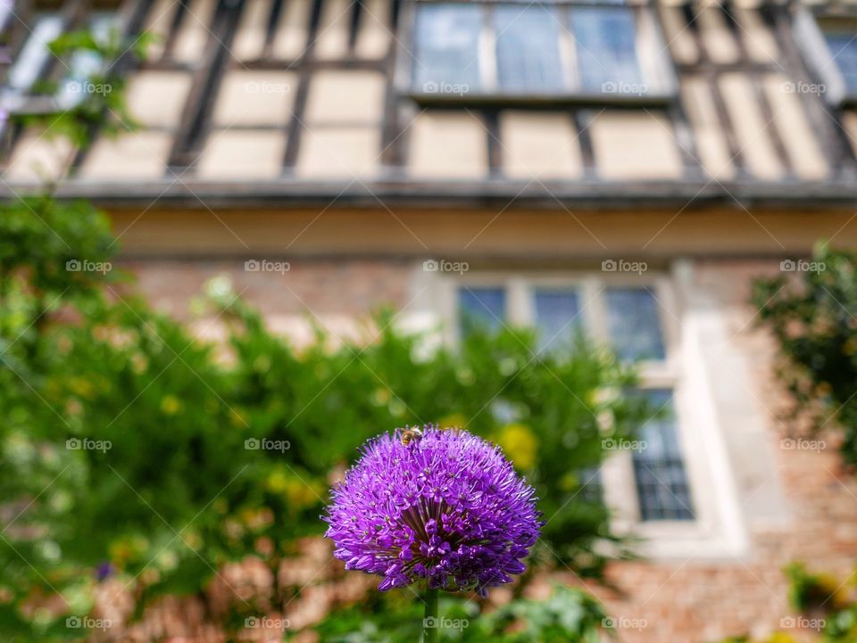 Garden. Stately home 