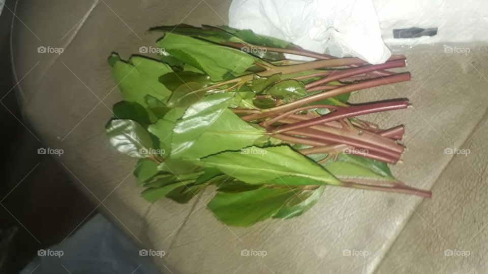 Please make me happy, I am poor, I need your help with support