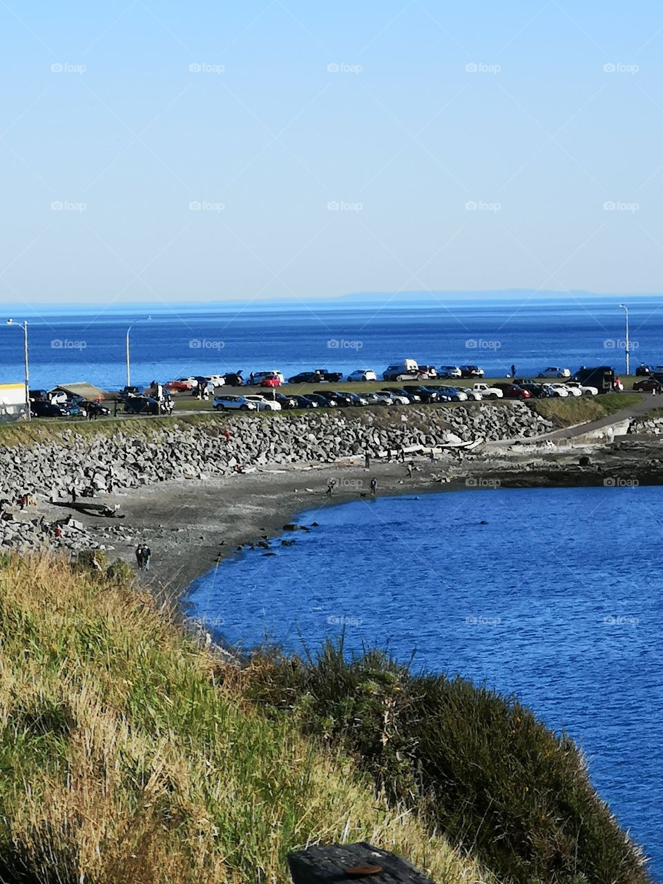 walking around nature