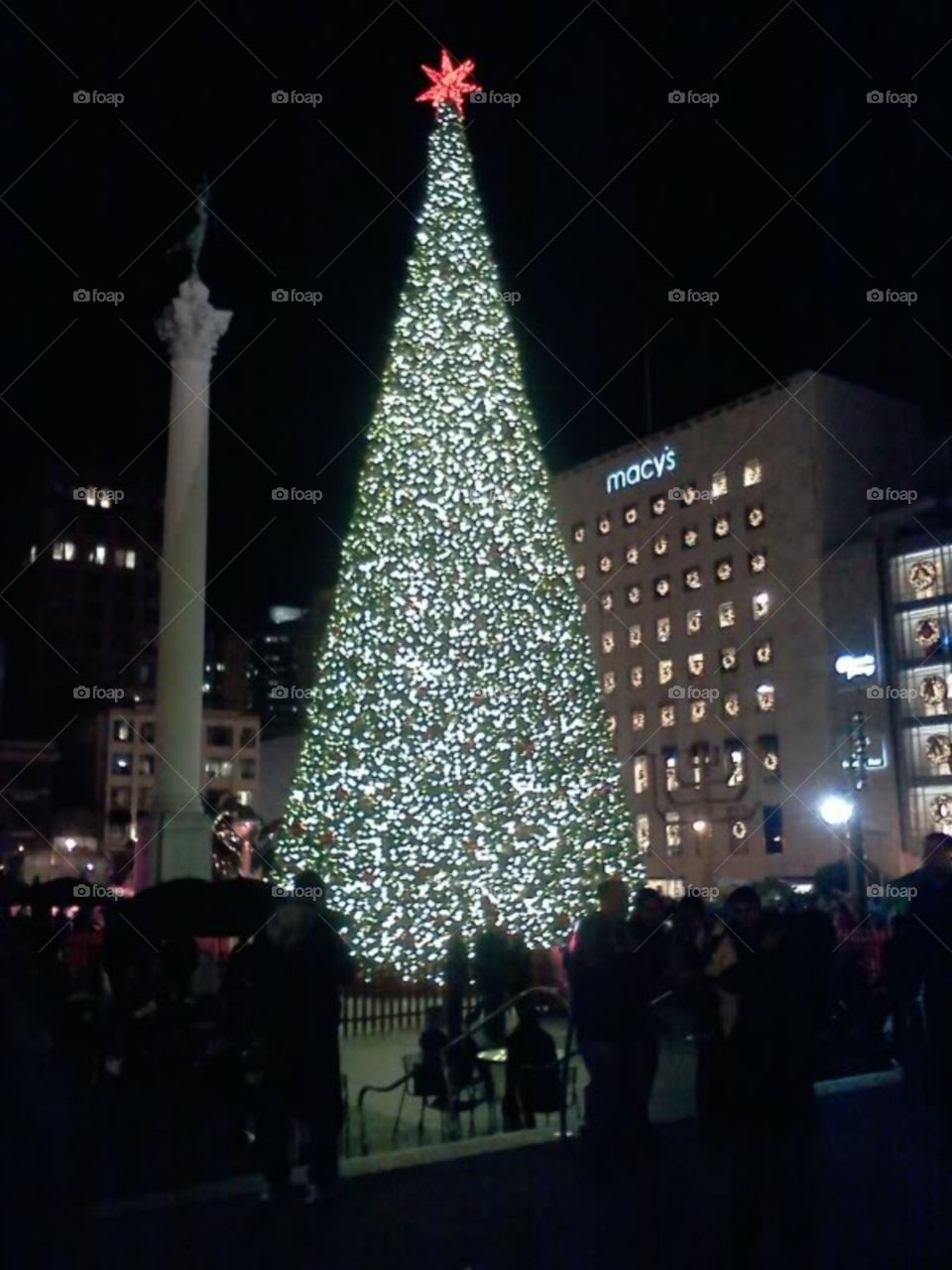 amazing Christmas tree in San Francisco